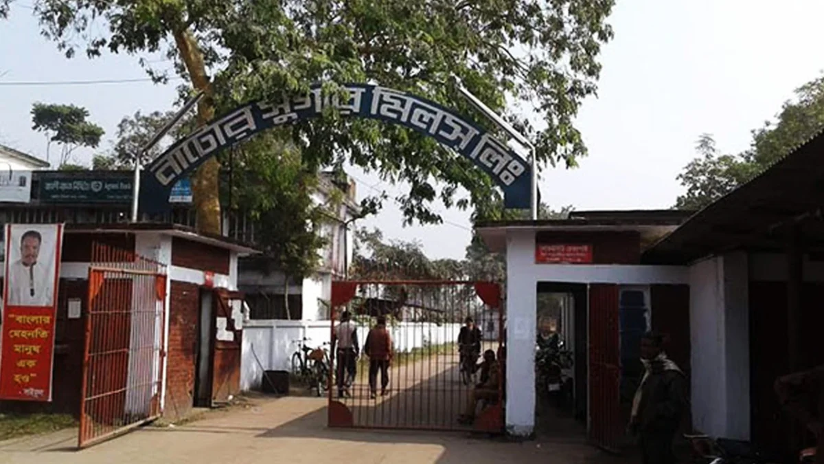 ১৩ নভেম্বর শুরু হচ্ছে নাটোর চিনিকলের আখ মাড়াই