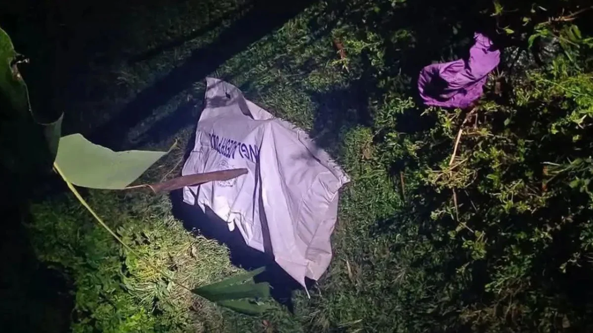 আইফোনের জন্য বন্ধুকে গলা কেটে হত্যা