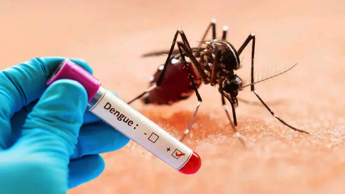 ডেঙ্গুতে আরও ৫ মৃত্যু, হাসপাতালে ভর্তি ১৯২০