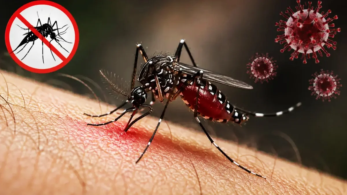 ডেঙ্গুতে আরও ৬ জনের মৃত্যু, হাসপাতালে ভর্তি ২০৮৮
