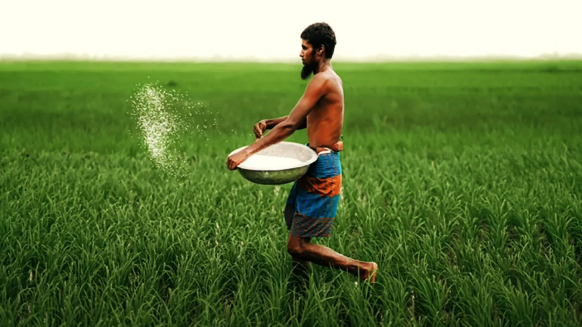 কীটনাশকের মূল্য নিয়ন্ত্রণে নজর নেই কারো, দাম বেড়েছে ২০ শতাংশ