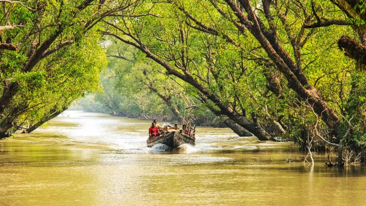 পরিবেশ সংকটাপন্ন এলাকায় বেপরোয়া পর্যটন ব্যবসা
