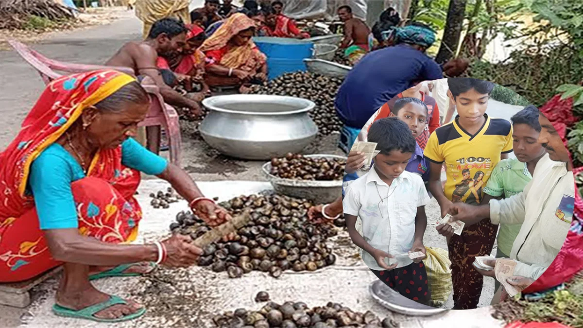 শামুক বিক্রি করেই জীবিকা নির্বাহ করছে তিন শতাধিক পরিবার